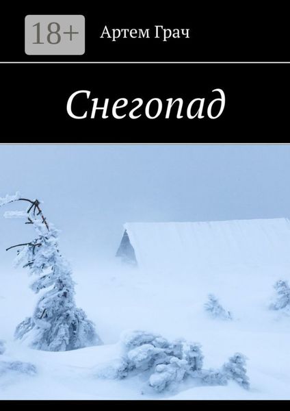 Обложка книги  «Снегопад»