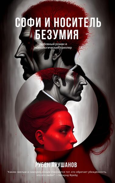 Обложка книги  «Софи и носитель безумия»