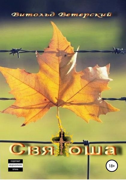Обложка книги  «Святоша»