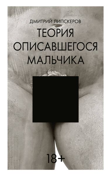 Обложка книги  «Теория описавшегося мальчика»