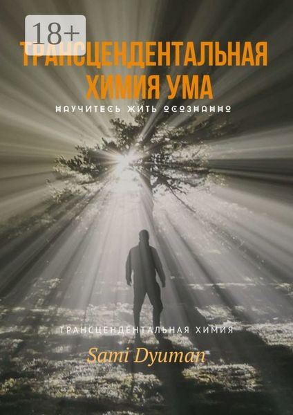 Обложка книги  «Трансцендентальная химия ума»