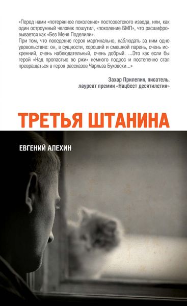 Обложка книги  «Третья штанина»