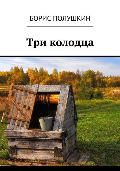 Обложка книги  «Три колодца»