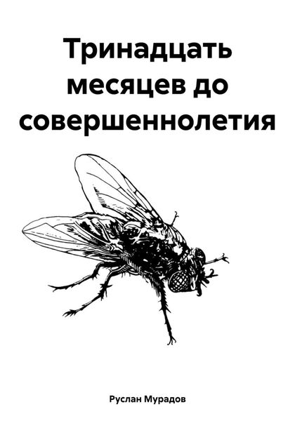 Обложка книги  «Тринадцать месяцев до совершеннолетия»