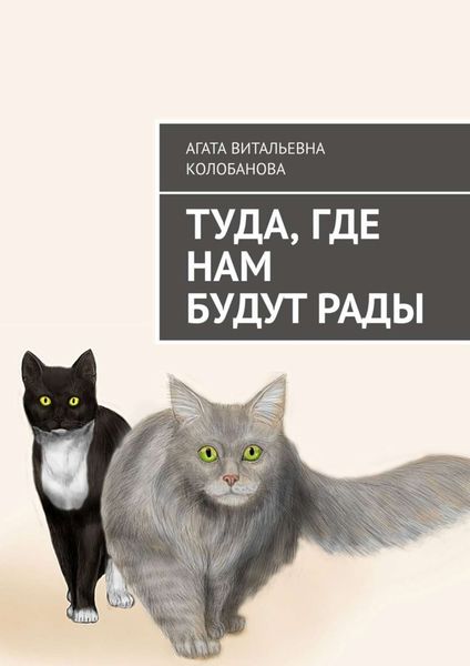 Обложка книги  «Туда, где нам будут рады»