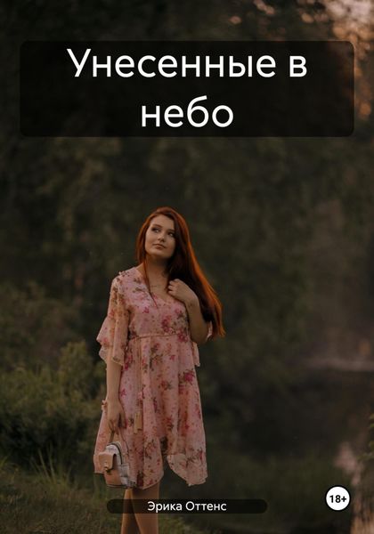 Обложка книги  «Унесенные в небо»