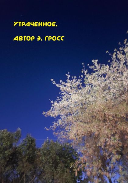Обложка книги  «Утраченное»
