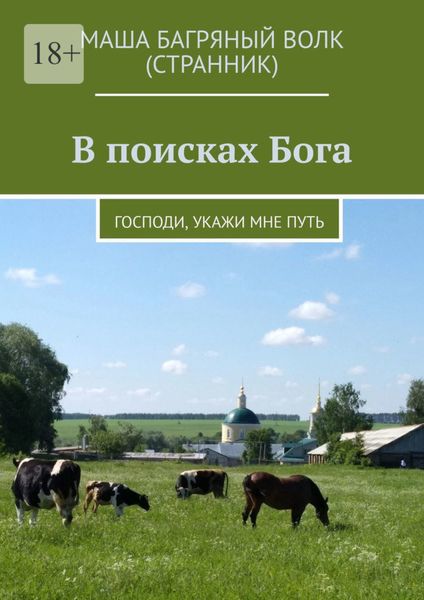 Обложка книги «В поисках Бога. Господи, укажи мне путь»