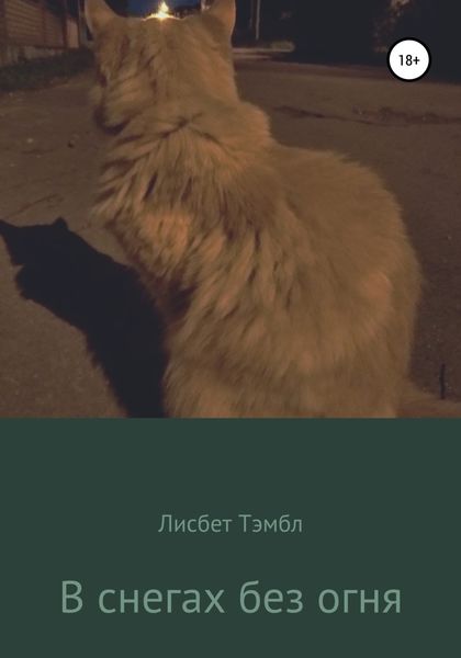 Обложка книги  «В снегах без огня»