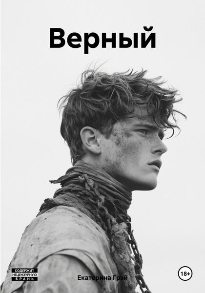 Обложка книги  «Верный»