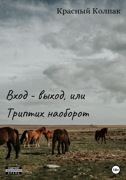 Обложка книги  «Вход – выход, или Триптих наоборот»