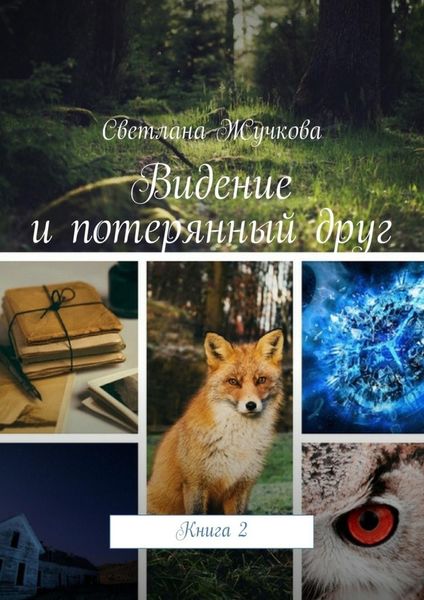 Обложка книги  «Видение и потерянный друг. Книга 2»