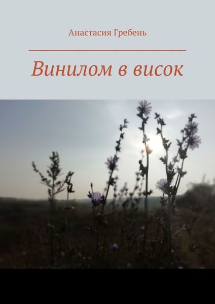 Обложка книги  «Винилом в висок»