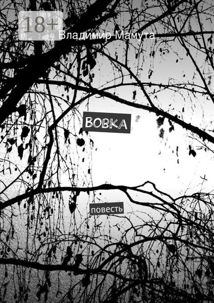 Обложка книги  «Вовка. повесть»