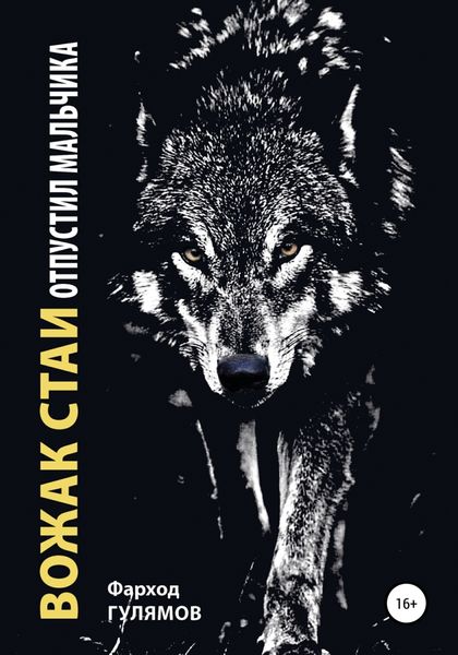 Обложка книги  «Вожак стаи отпустил мальчика»