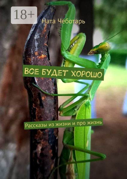 Обложка книги  «Все будет хорошо. Рассказы из жизни и про жизнь»