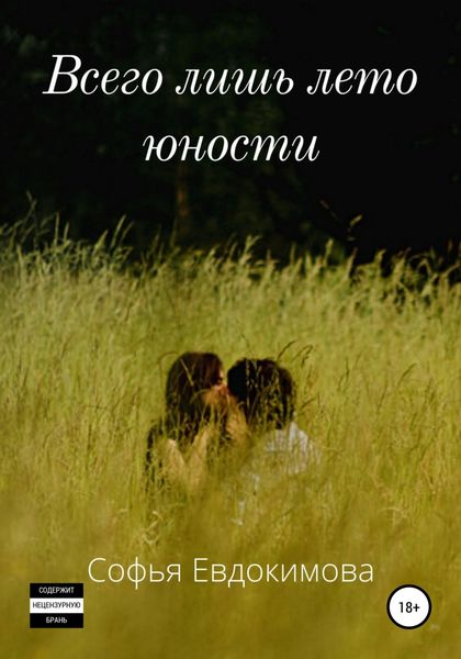 Обложка книги  «Всего лишь лето юности»