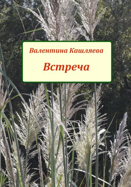 Обложка книги  «Встреча»
