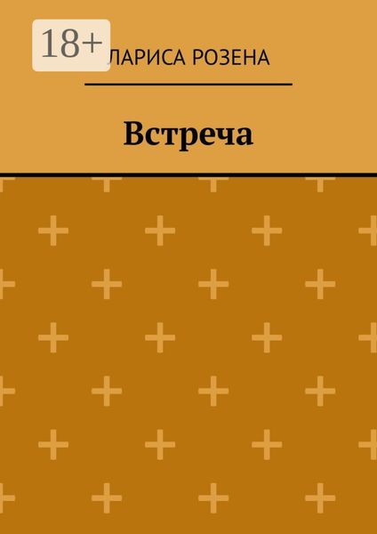 Обложка книги  «Встреча»