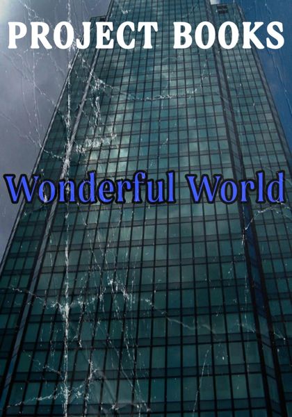 Обложка книги  «Wonderful World»