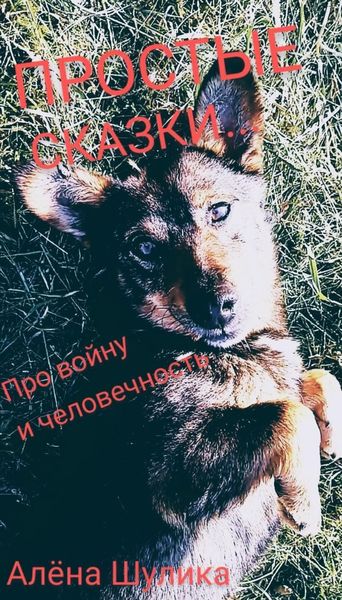 Обложка книги  «Я РУССКИЙ, МОЯ НАЦИОНАЛЬНОСТЬ – ЧЕЛОВЕК. (ПРОСТЫЕ СКАЗКИ)»