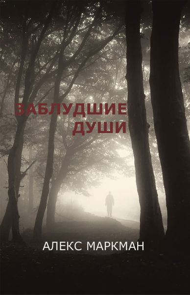 Обложка книги  «Заблудшие души»