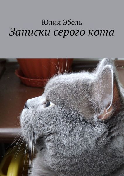 Обложка книги  «Записки серого кота. Жизнь людей глазами кота»