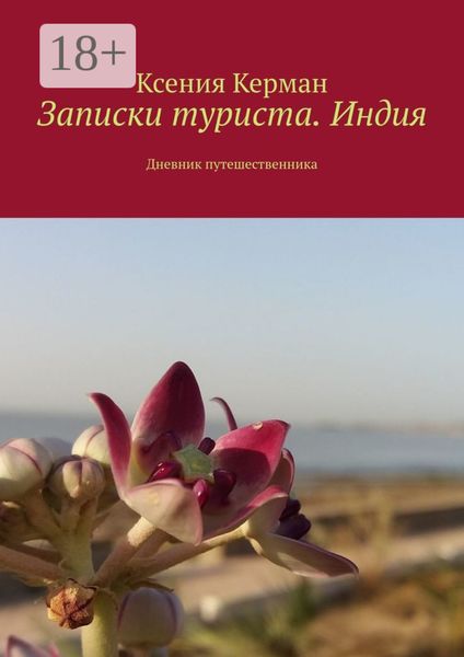 Обложка книги  «Записки туриста. Индия. Дневник путешественника»