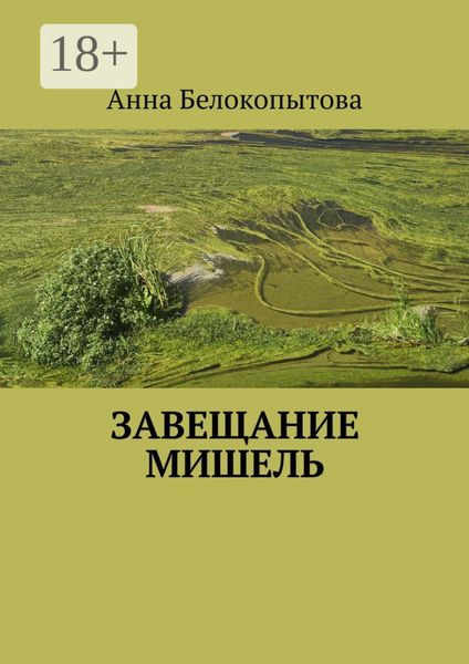 Обложка книги  «Завещание Мишель»