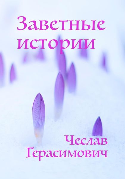 Обложка книги  «Заветные истории»