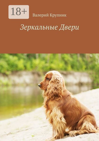 Обложка книги  «Зеркальные Двери»
