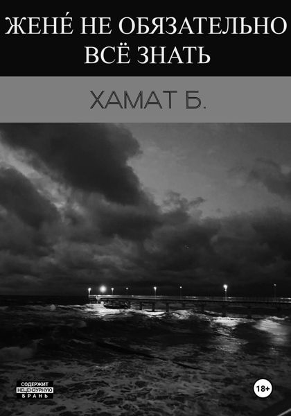 Обложка книги  «Жене́ не обязательно всё знать»