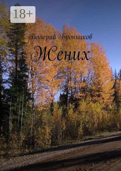 Обложка книги  «Жених»