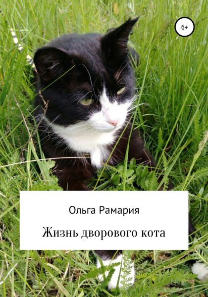 Обложка книги  «Жизнь дворового кота»