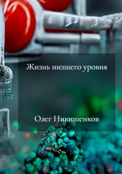 Обложка книги  «Жизнь низшего уровня»