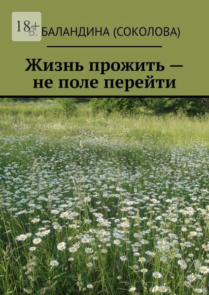 Обложка книги  «Жизнь прожить – не поле перейти»