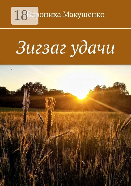 Обложка книги  «Зигзаг удачи»