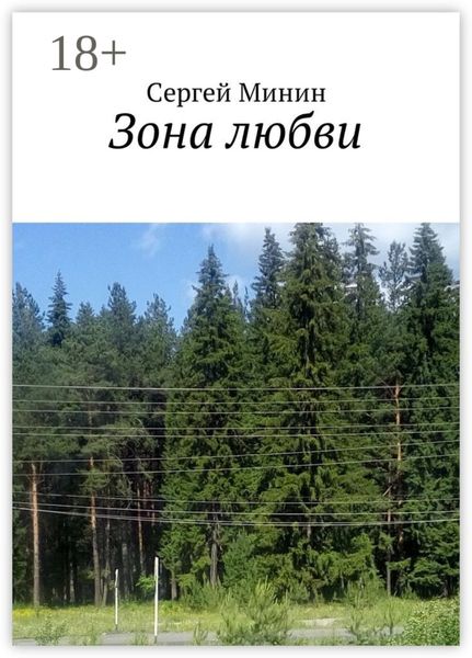 Обложка книги  «Зона любви»