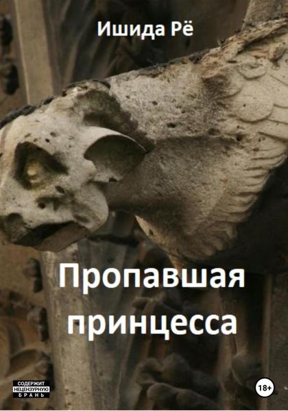 Обложка книги  «Пропавшая принцесса»