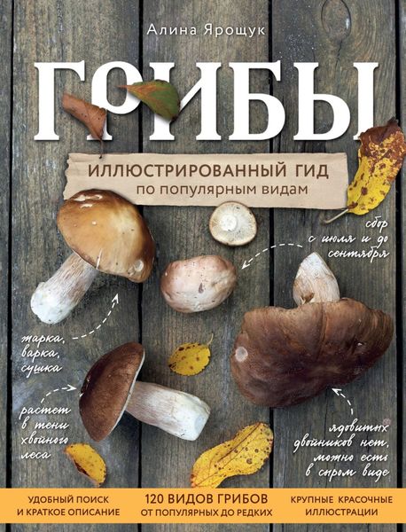 Обложка книги  «Грибы: иллюстрированный гид по популярным видам»