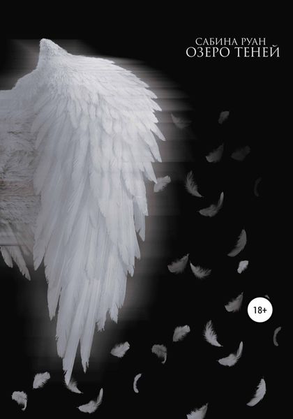 Обложка книги  «Озеро теней»