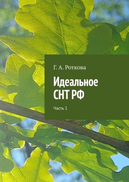 Обложка книги  «Идеальное СНТ РФ. Часть 1»