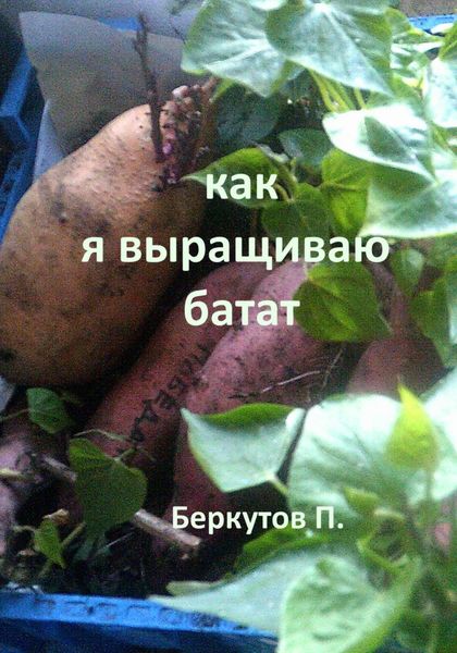 Обложка книги  «Как я выращиваю батат»