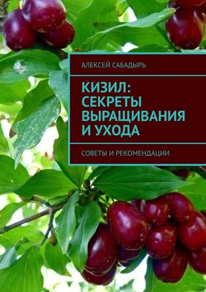 Обложка книги  «Кизил: секреты выращивания и ухода. Советы и рекомендации»
