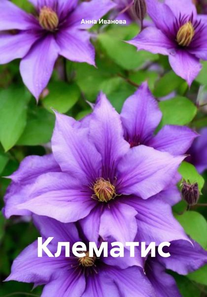Обложка книги  «Клематис»