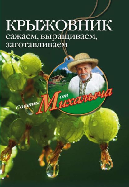 Обложка книги  «Крыжовник. Сажаем, выращиваем, заготавливаем»