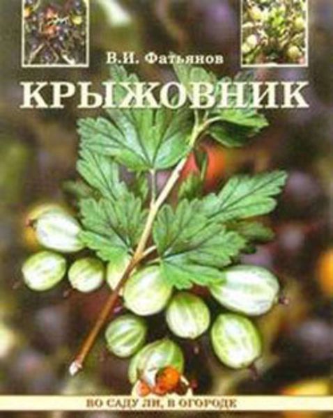 Обложка книги  «Крыжовник»