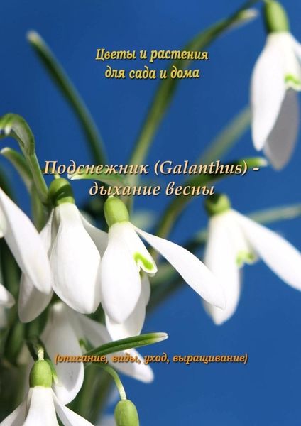 Обложка книги  «Подснежник (Galanthus) – дыхание весны»