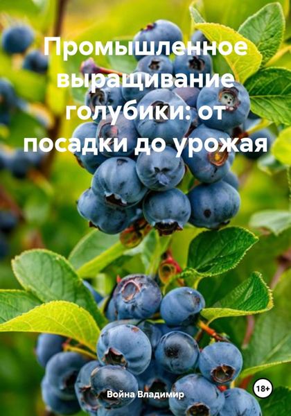Обложка книги  «Промышленное выращивание голубики: от посадки до урожая»