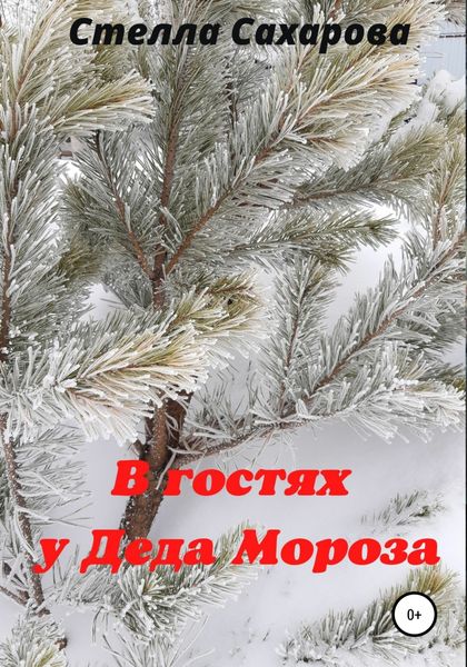 Обложка книги  «В гостях у Деда Мороза»